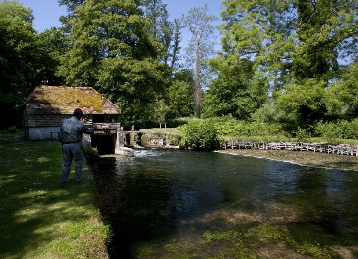 89 The Avon