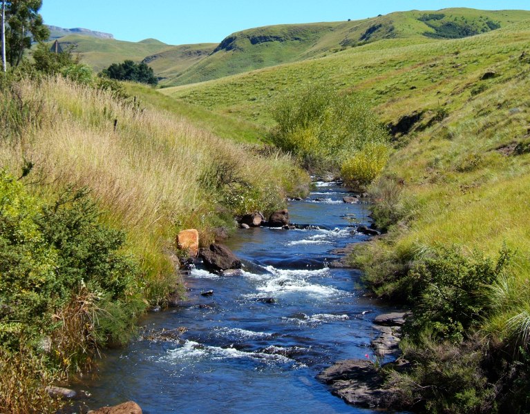 Antelope Stream Vrederus 1 (3)