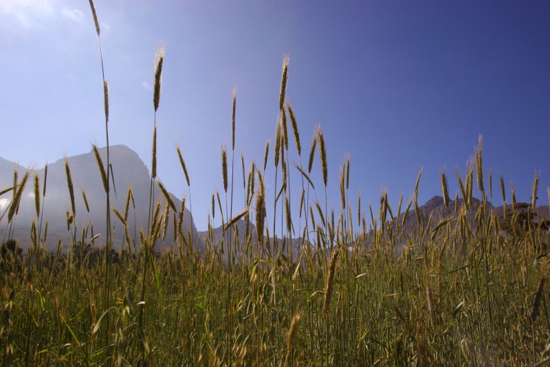 Banhoek Stellenbosch area