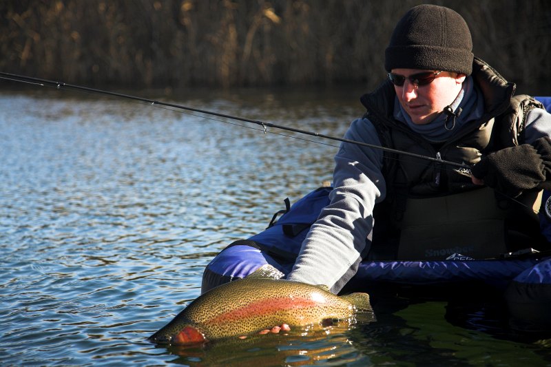 Billy de Jong Highland Lodge (18)