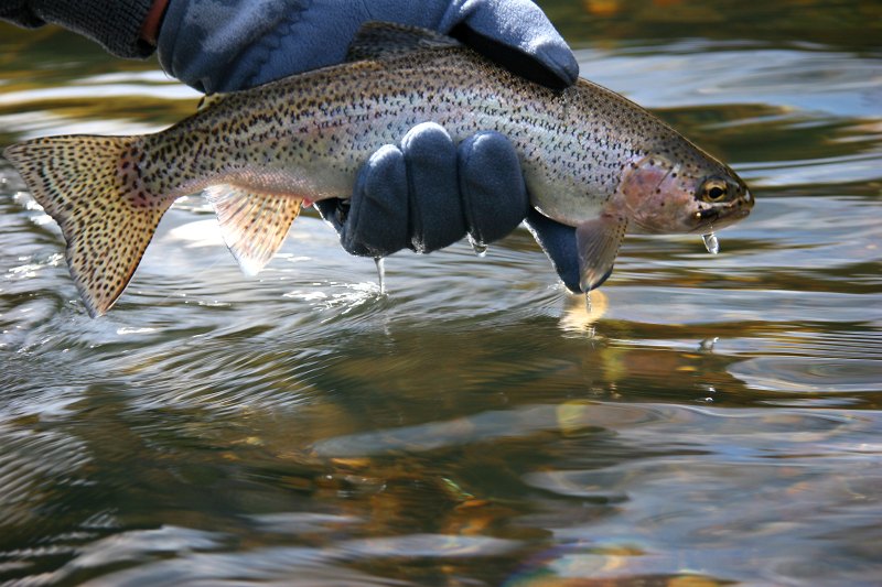 Birkhall and Barnksome scenes (22)