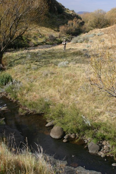 Bradgate Stream Vrederus 1 (2)