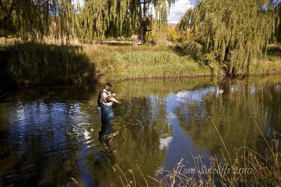 Branksome landscape 4