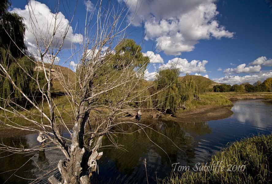 Branksome landscape 5