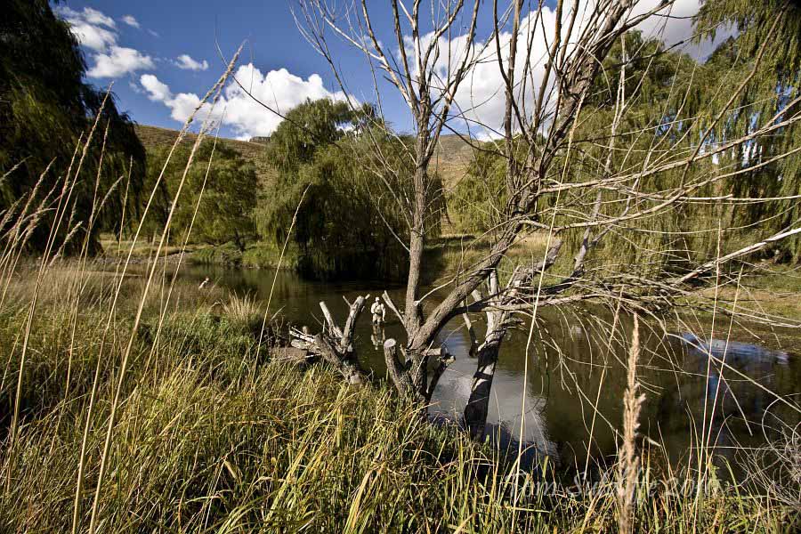 Branksome landscape 6