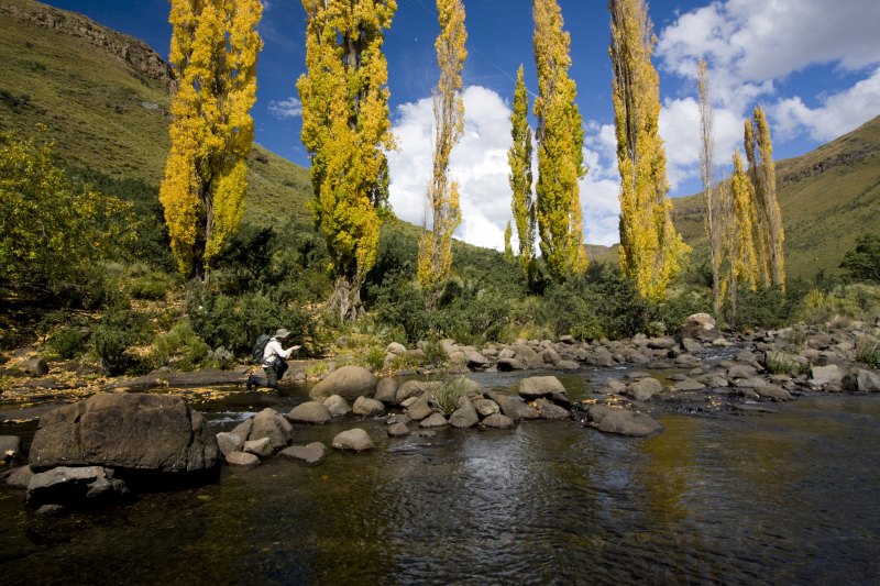 Ed Herbst Gateshead (12)