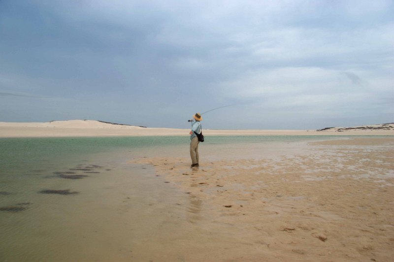 Estuaries and shoreline, Western Cape (13)