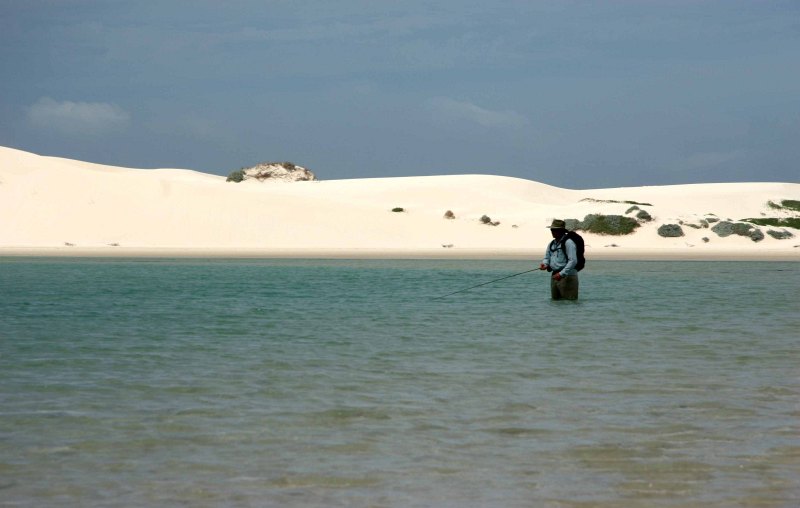 Estuaries and shoreline, Western Cape (18)