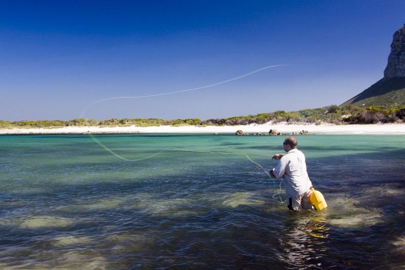 Estuaries and shoreline, Western Cape (19)