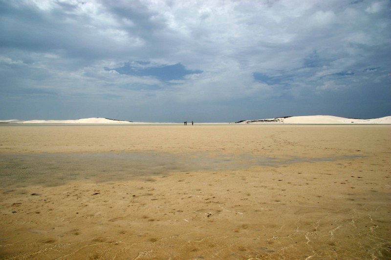 Estuaries and shoreline, Western Cape