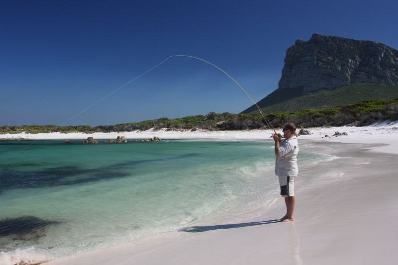 Estuaries and shoreline, Western Cape (20)