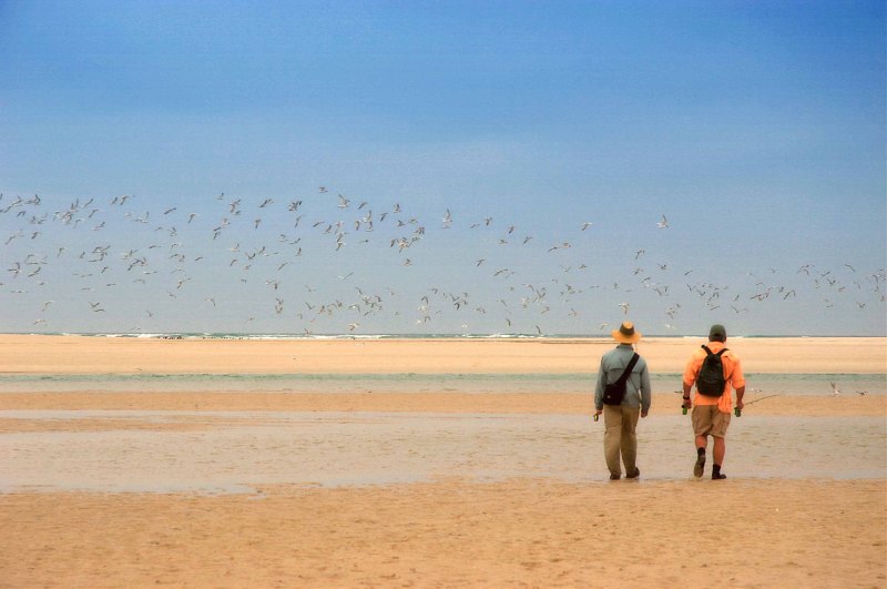 Estuaries and shoreline, Western Cape (23)