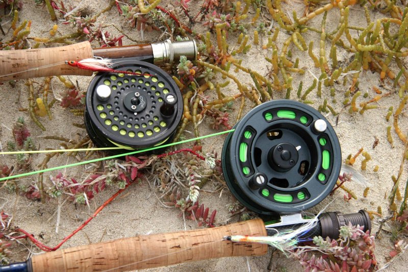 Estuaries and shoreline, Western Cape (25)