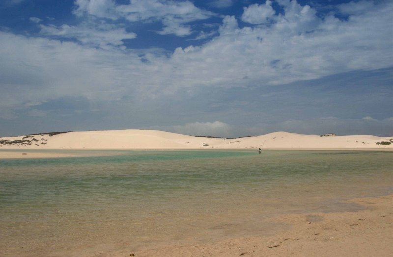 Estuaries and shoreline, Western Cape (26)