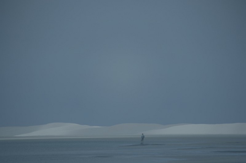 Estuaries and shoreline, Western Cape (28)