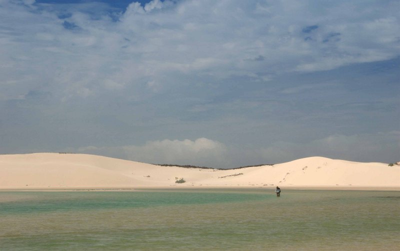 Estuaries and shoreline, Western Cape (5)
