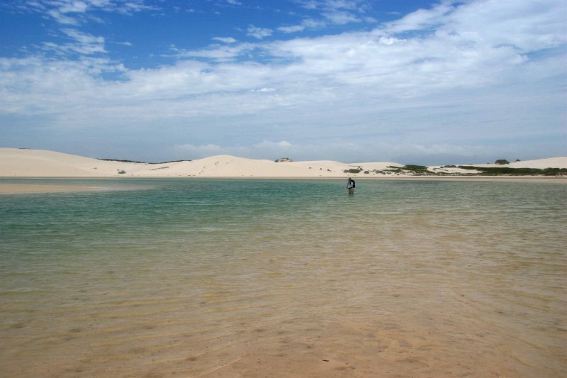 Estuaries and shoreline, Western Cape (6)