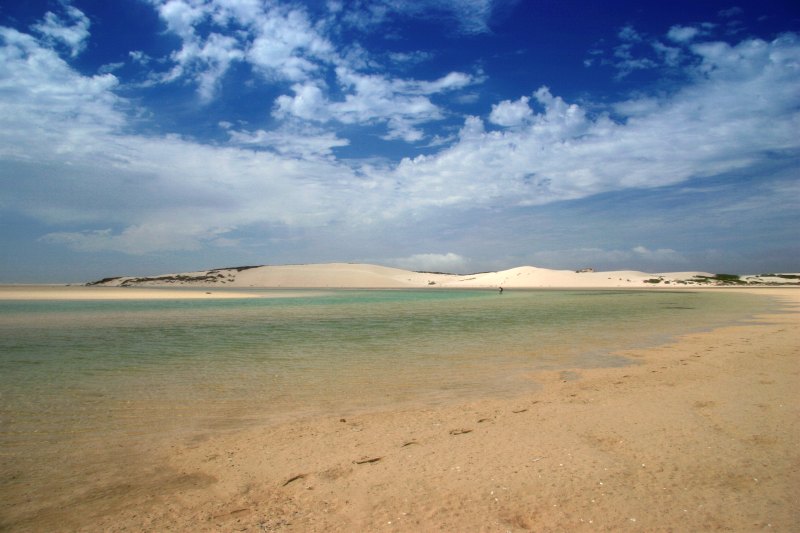 Estuaries and shoreline, Western Cape (9)