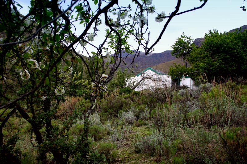 Gateshead cottage (7)