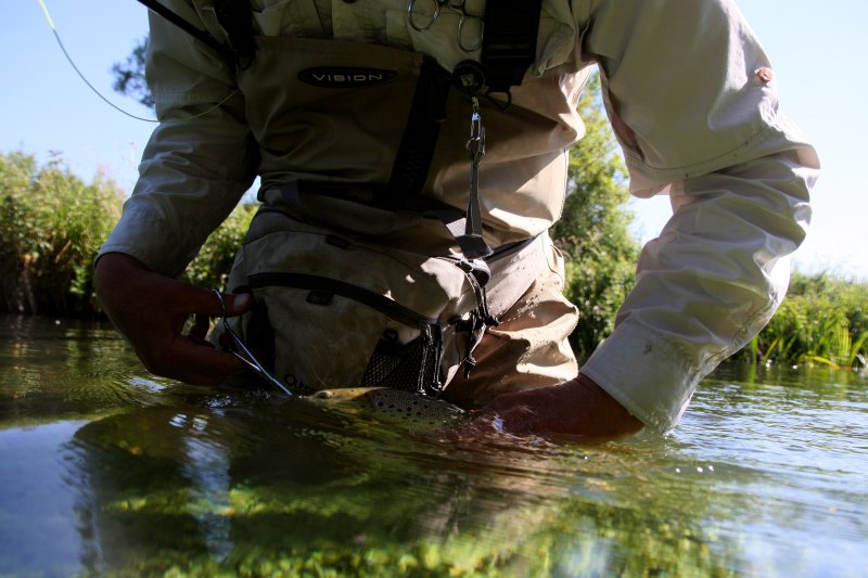 Hampshire chalkstreams (16)