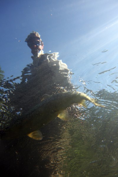 Hampshire chalkstreams (17)