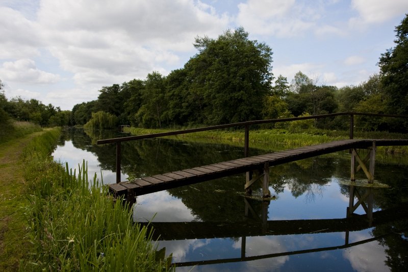 Hampshire chalkstreams The Test(5)