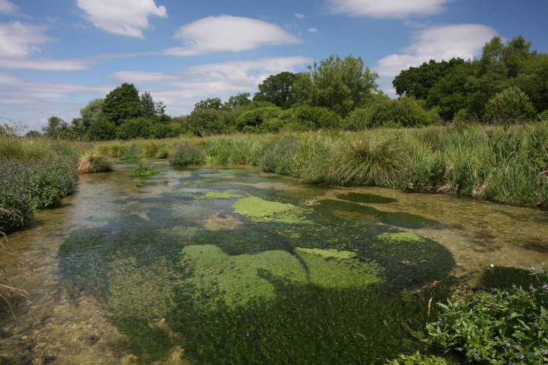 Hampshire chalkstreams The Upper Itchen 1