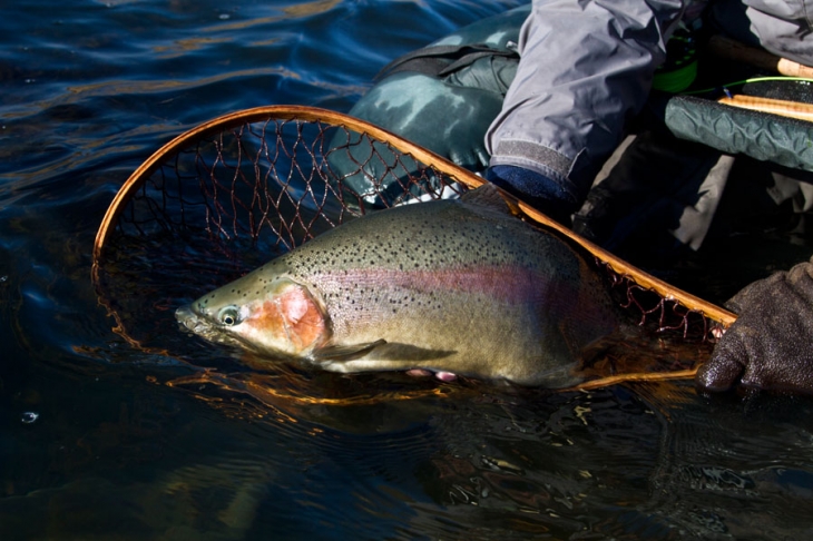 Highland_Lodge_stillwaters (1014)