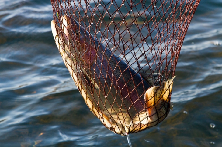 Highland_Lodge_stillwaters (115)