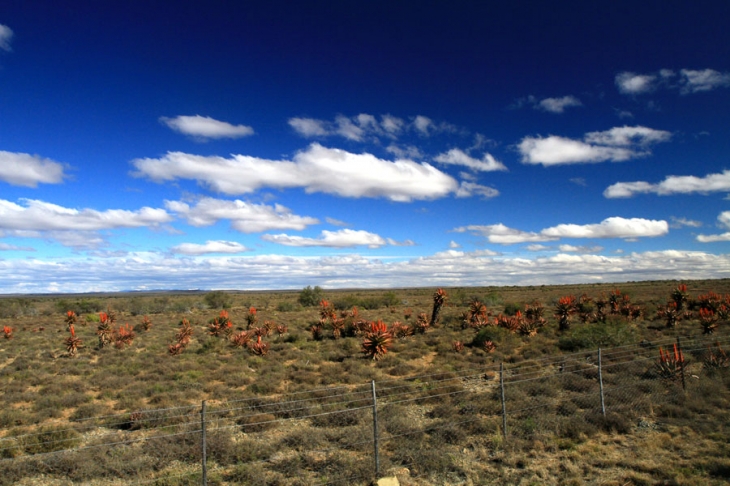 Highland_Lodge_stillwaters (2057)