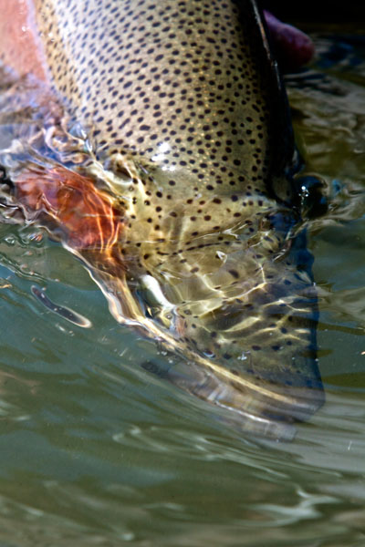 Highland_Lodge_stillwaters (29)