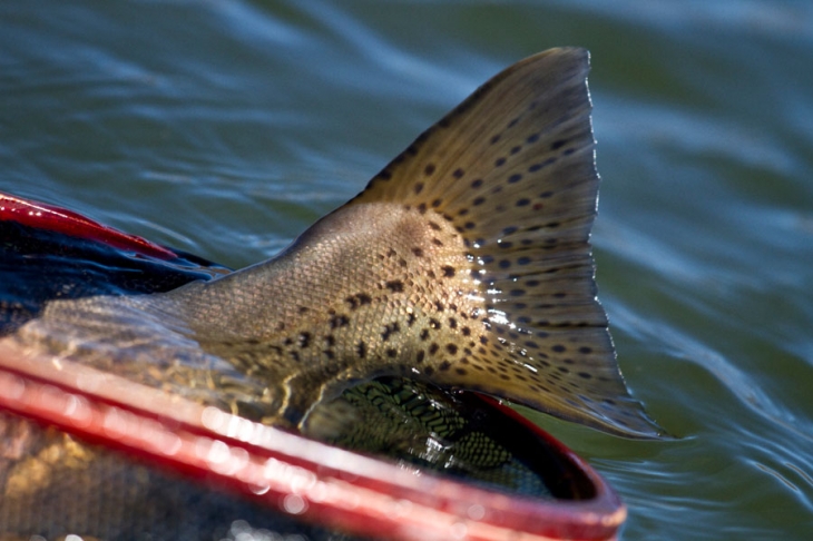 Highland_Lodge_stillwaters (331)