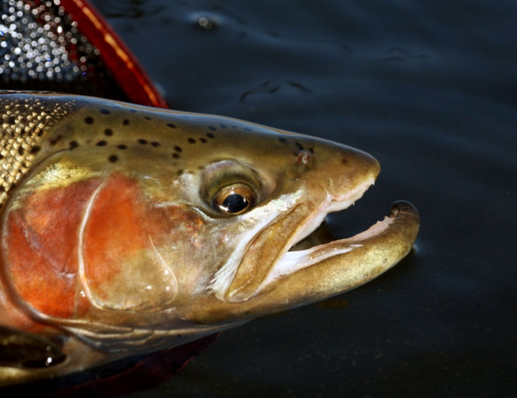 Highland_Lodge_stillwaters (39)