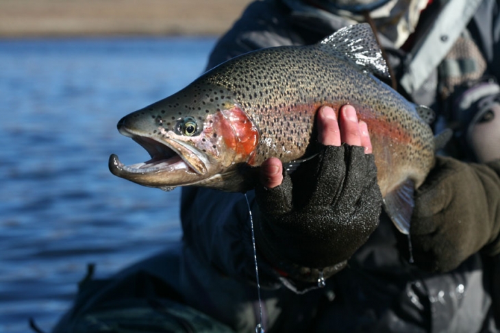 Highland_Lodge_stillwaters (40)