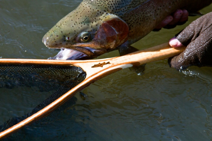 Highland_Lodge_stillwaters (510)