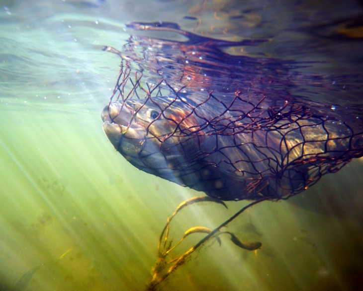 Highland_Lodge_stillwaters (57)