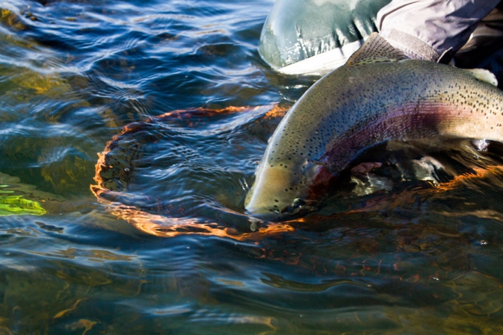 Highland_Lodge_stillwaters (653)