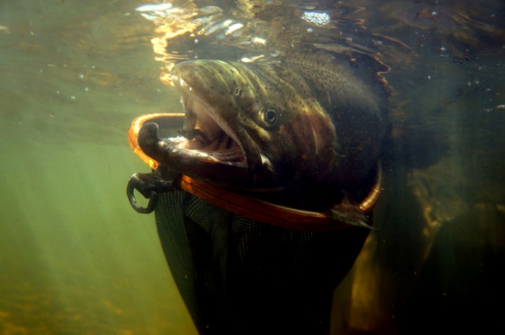 Highland_Lodge_stillwaters (96)