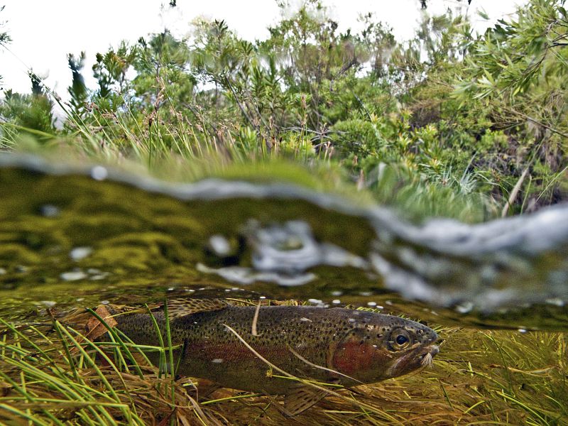 Holsloot River impressions (11)