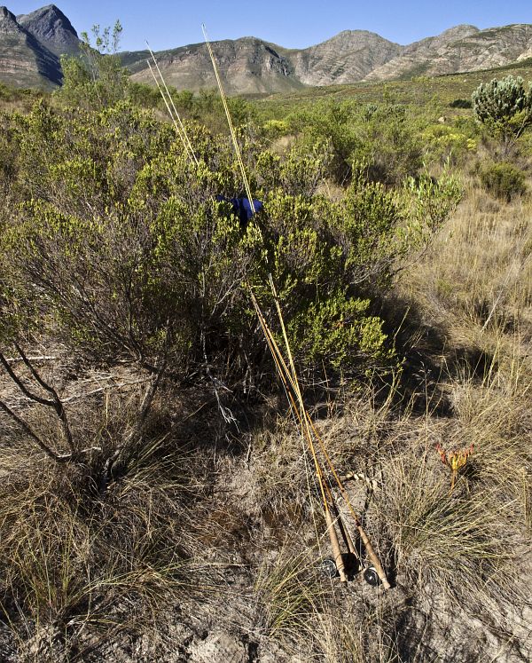 Holsloot River impressions (15)