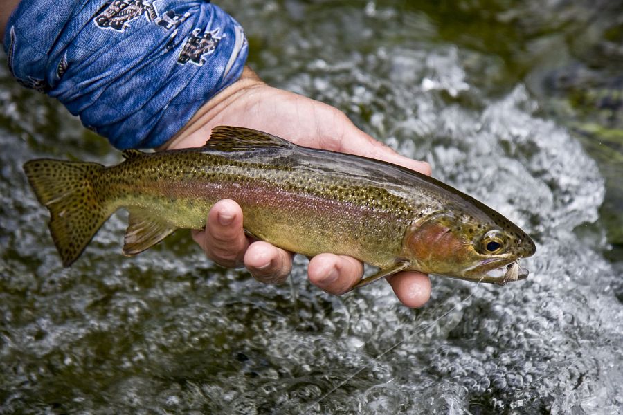 Holsloot River impressions (16)