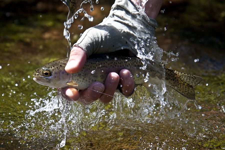 Holsloot River impressions (19)