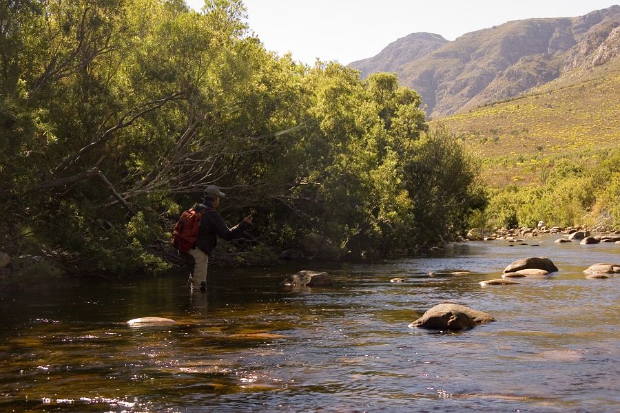 Holsloot River impressions