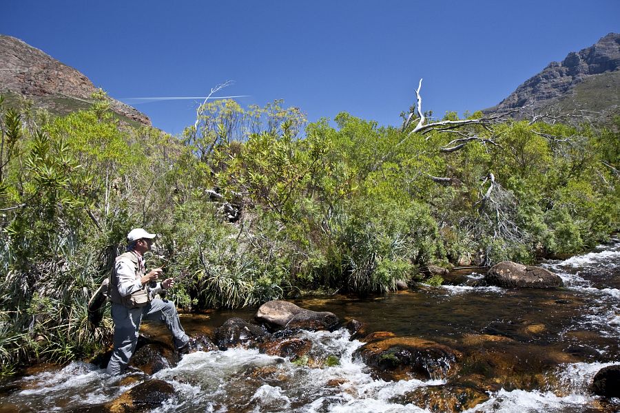 Holsloot River impressions (23)