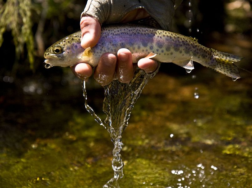 Holsloot River impressions (24)