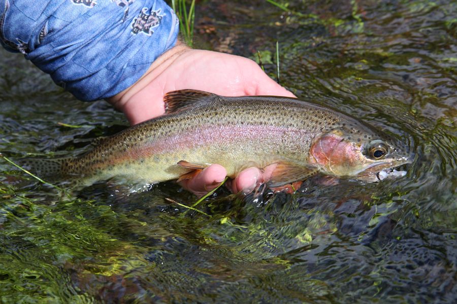 Holsloot River Impressions (2)