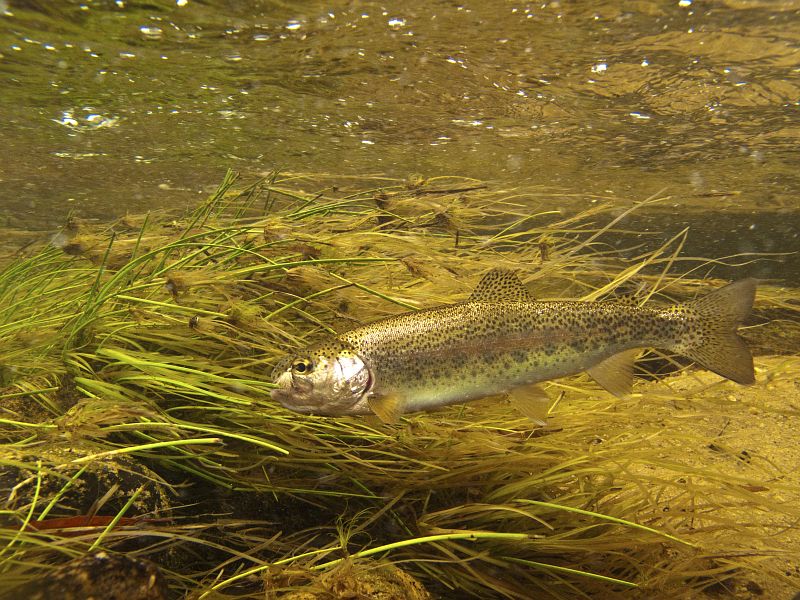 Holsloot River impressions (6)