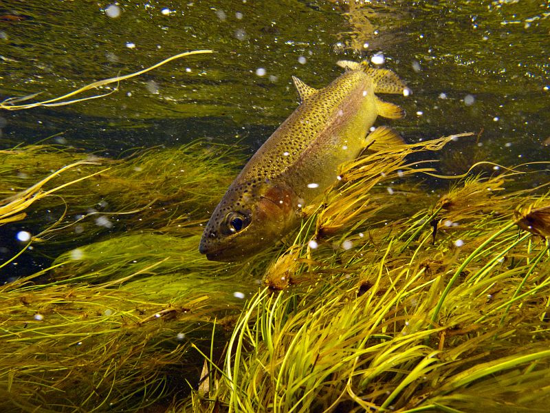 Holsloot River impressions (8)