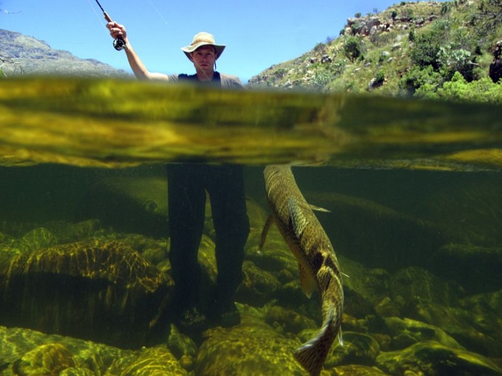 Underwater fly fishing photography (26)