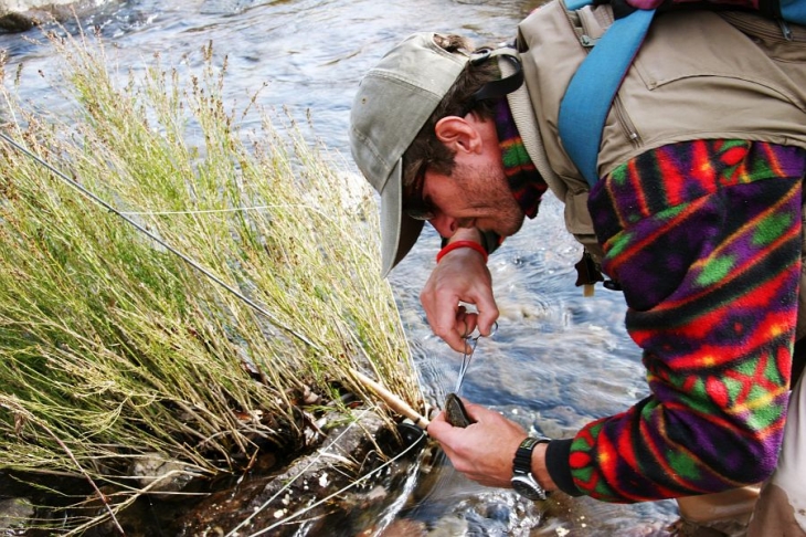 Karnemelk Stream (6)